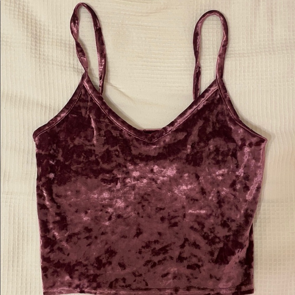 Velvet Urban Outfitters Crop Top